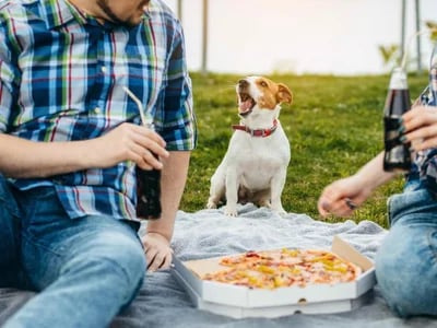 Pizzeria – Original italienische Küche für die ganze Familie