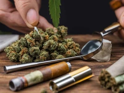 Indoor- und Outdoor-Strains entdecken – Weed Samen kaufen