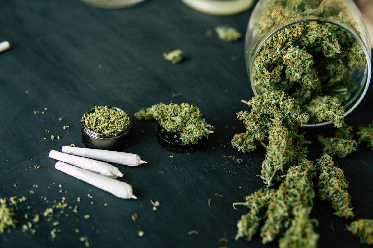 Indoor- und Outdoor-Strains entdecken – Weed Samen kaufen