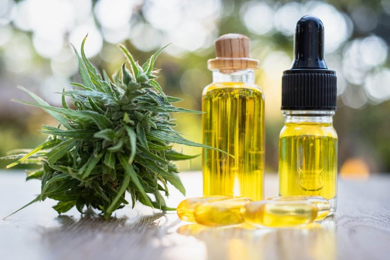 Cannabisöl zum Einreiben – Wernard Bruining zeigt, wie du dein eigenes Heilmittel herstellst