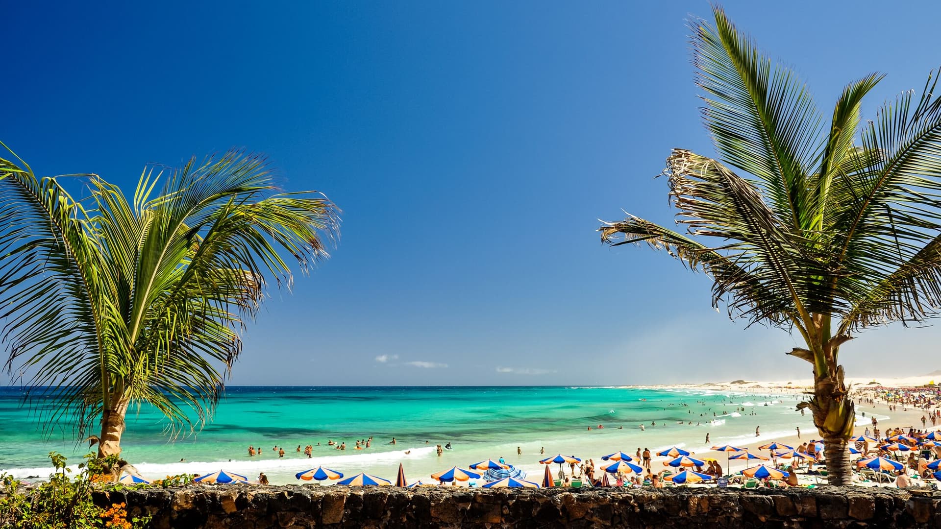 Lanzarote oder Fuerteventura Ver: Deinen Leitfaden-Info zu den Kanaren-Inseln
