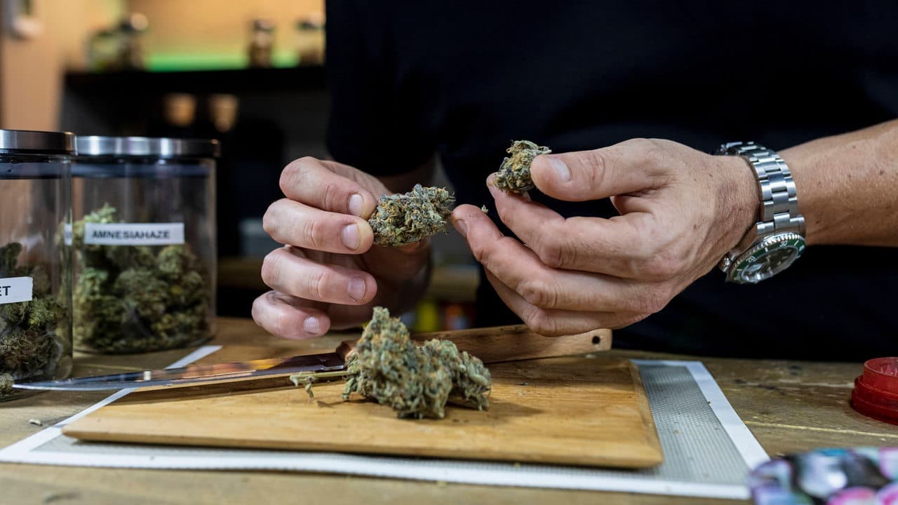 So finden Sie legale Orte zum Kiffen in Spanien – Cannabis Clubs erklärt
