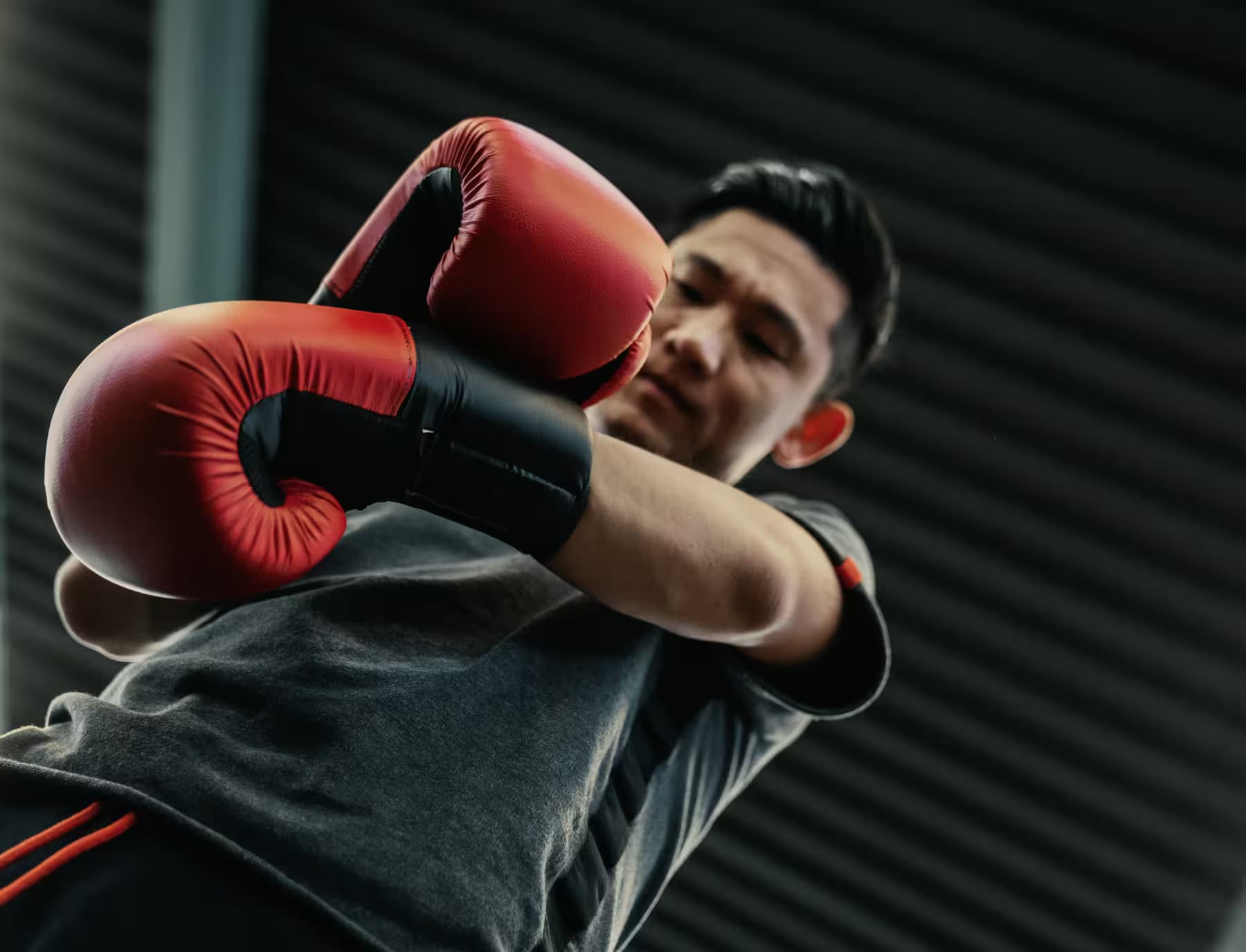 Kickboxhandschuhe für Training und Wettkampf bei Justsports4you – Profi-Qualität für jede Herausforderung