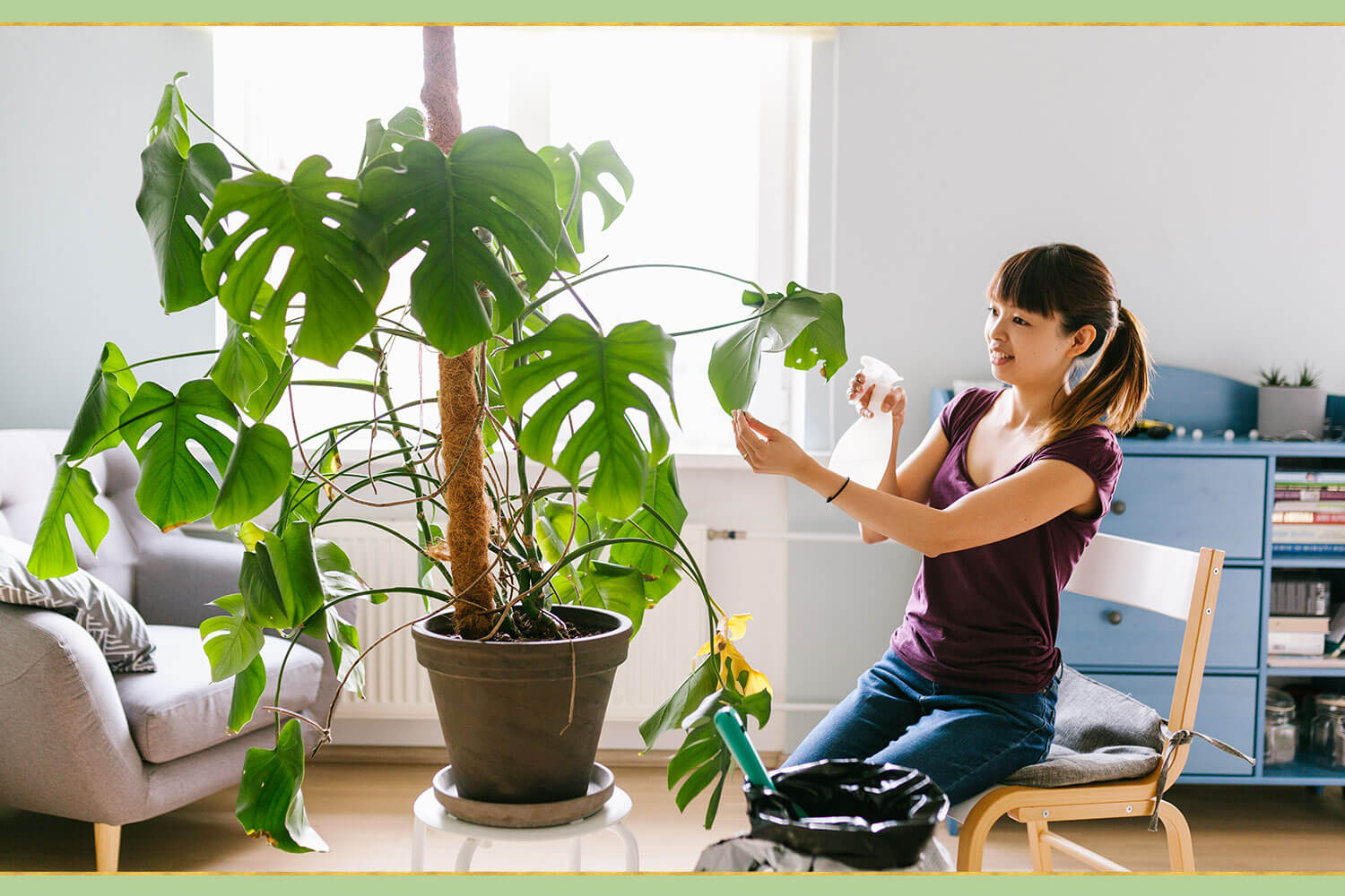 Erleben Sie mit Plantis die Magie moderner Pflanzenpflege