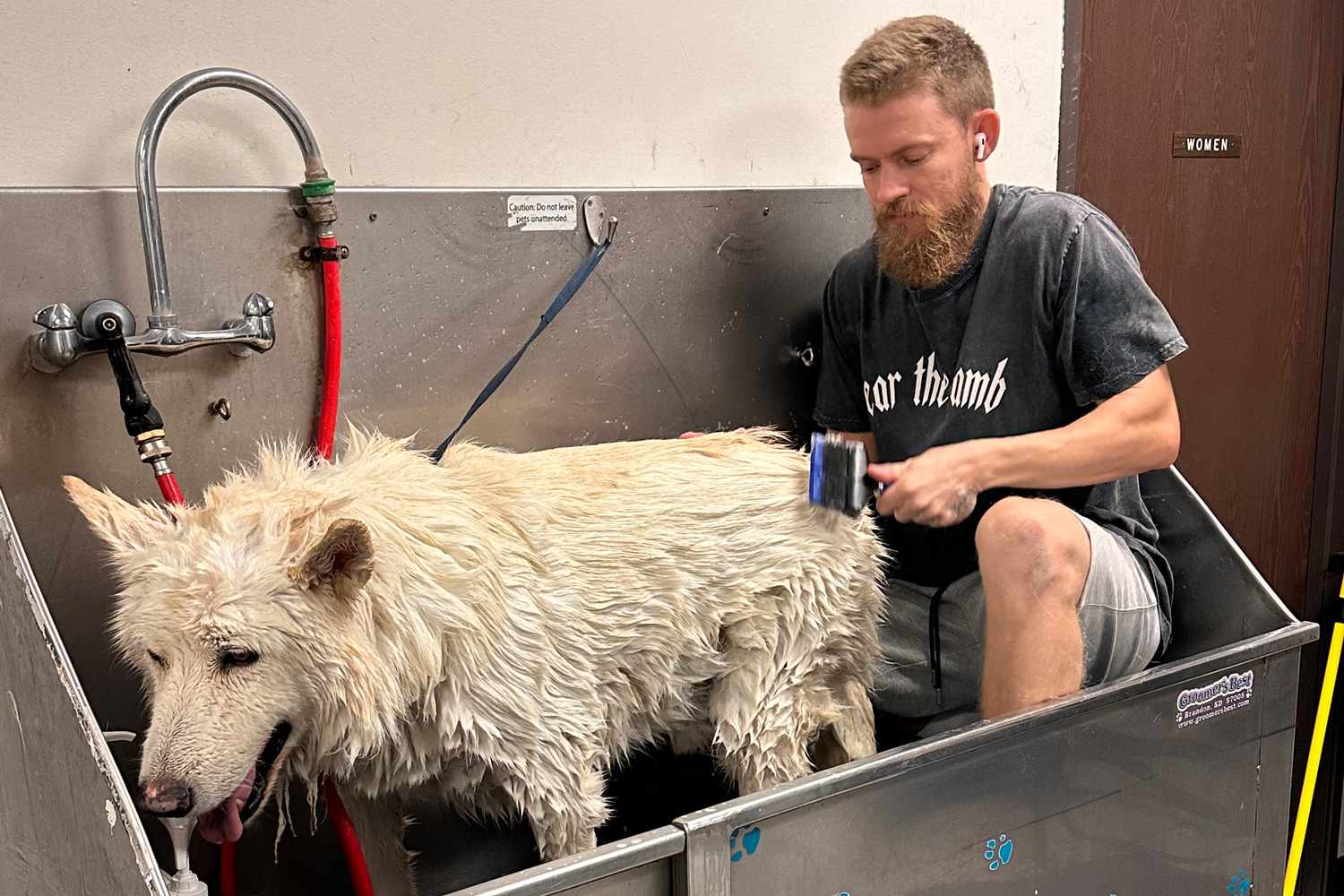 GroomRoom Berlin: Der Hundefriseur und Katzenfriseur in Berlin, dem du vertrauen kannst